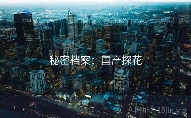 秘密档案：国产探花