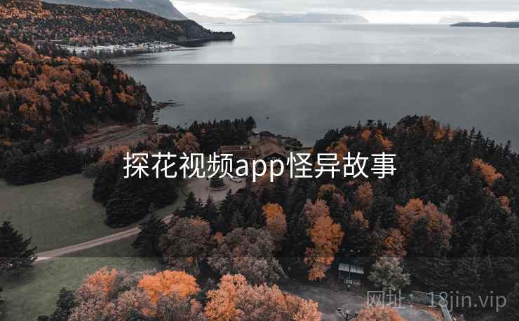 探花视频app怪异故事